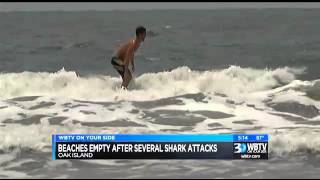 Celebrity 68 year old man bitten, pulled underwater by shark along NC coas Net Worth