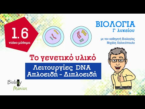 6. Λειτουργίες και μήκος DNA, απλοειδή - διπλοειδή κύτταρα, (6 /1ο κεφάλαιο) - Βιολογία  Γ λυκείου.