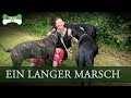 Der lange Marsch - GassiTV #14