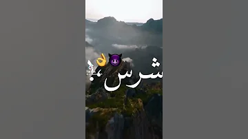 قلبي شرس وبطاقتي راميها 