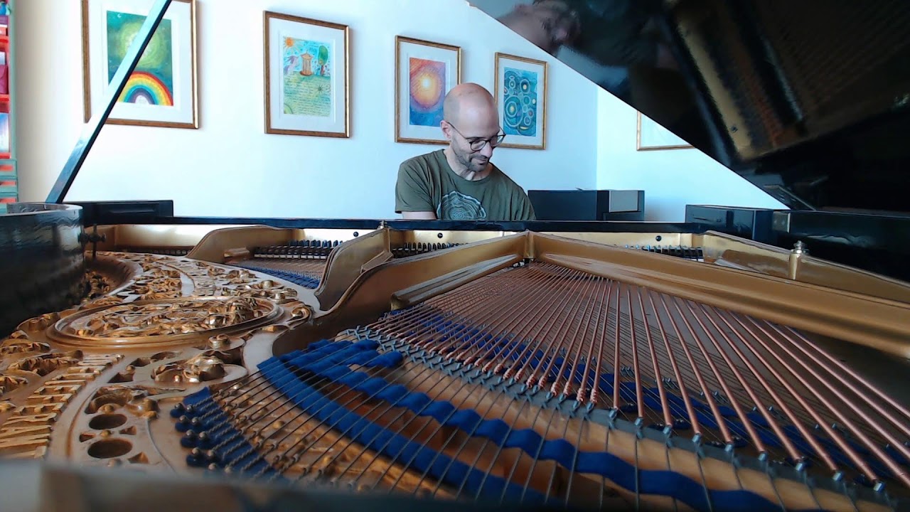 #896 of 10.000 Blüthner Grand Piano Pieces