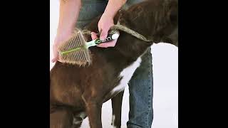 All-In-One Self-Cleaning Pro Grooming Tool For Dogs And Cats