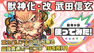 【新キャラ】武田信玄獣神化・改！重力バリアキラーLが乗る超強貫通ホーミング 18を所持！