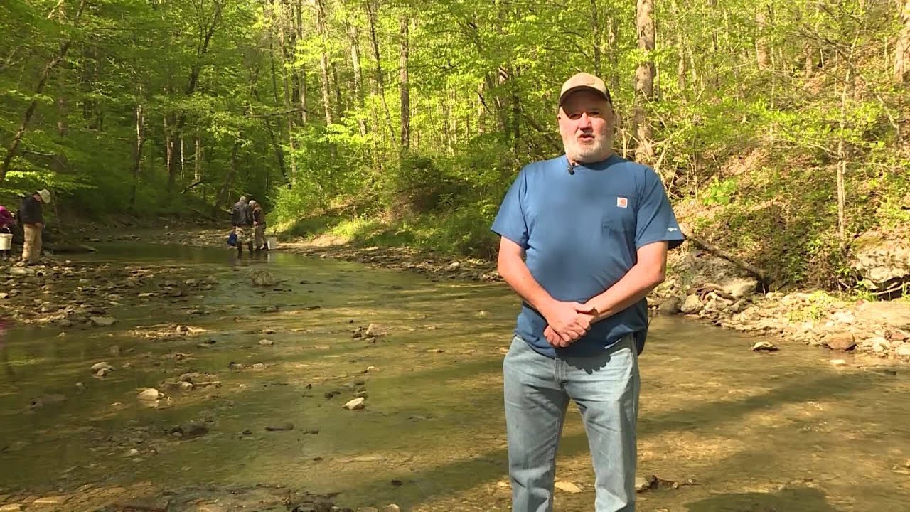 Best of Spirit of the Bluegrass 2024