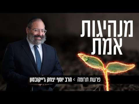 וִידֵאוֹ: שירותים בסיסיים ונוספים בבתי מלון. טכנולוגיה למתן שירותים נוספים בבית מלון