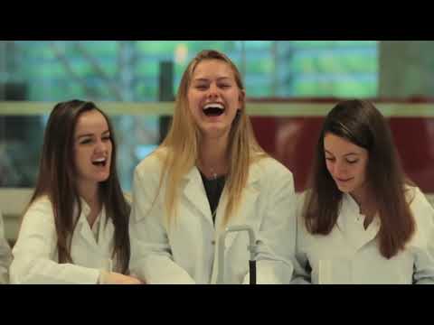International School of Brussels