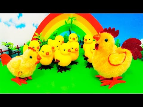 Mainan Anak Ayam Lucu Bisa Jalan | Ayam Warna Kuning Warna Warni