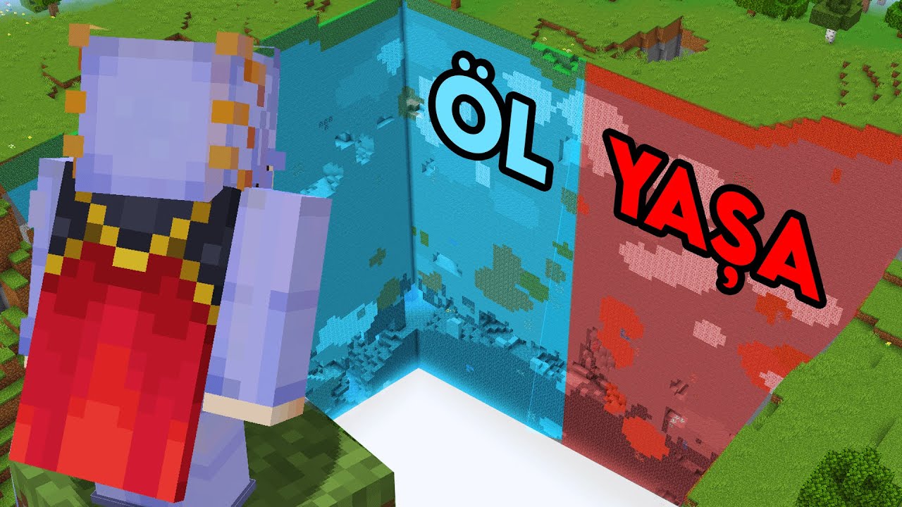 Neden Minecraft'ta Bütün Dünyayı Yok Ettim..