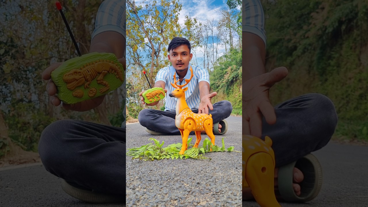Remote Control Deer ki 