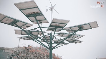 Climate Action Initiatives at School of Technology, Woxsen University