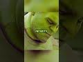 If you pay attention to this Why didn&#39;t Hulk Gauntlet Shrink ? #ironamn #hulk