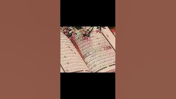 القران الكريم #المسجد_الحرام #اكسبلور #القزابري #مصر #دويتو #السعودية #duet #المصحف #راحة_نفسية #لاي