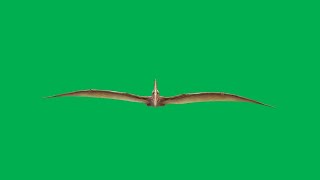 Pterodactyl Green Screen