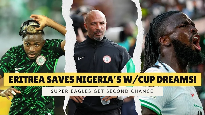 Nigeria: The Ruling That Saved Super Eagles' World Cup Dream