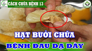 Tác dụng thần kì của hạt bưởi dùng để điều trị bệnh viêm dạ dày - 100 người thì 99 người không biết