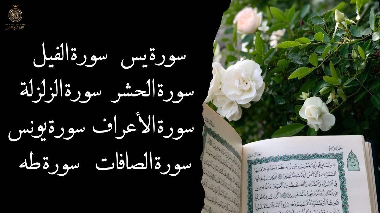تلاوة قرآنية خاشعة تجمع بين أعظم السور: يس – طه – الصافات – الزلزلة – الأعراف – يونس – الحشر – الفيل
