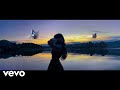 Alan Walker - Astray | New Music 2024 (Official Video)