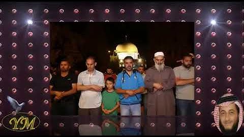 33 سورة الاحزاب كاملة للقارئ الشيخ هاني الرفاعي