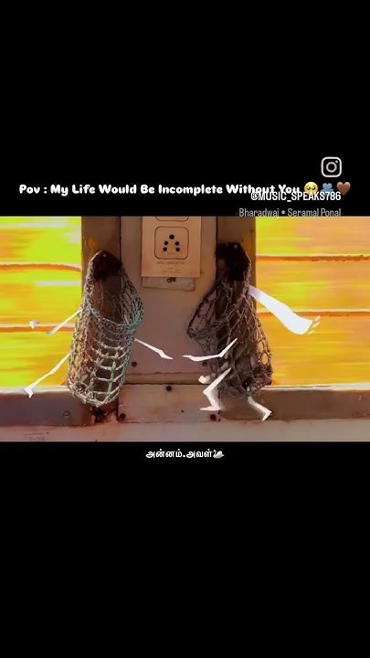 Life Is Incomplete reels status sad love telugu ytshort life-is-incomplete-reels-status-sad-love-telugu-ytshort
