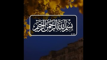 سورة الشرح بصوت سعد الغامدي حالات واتس اب دينية قرآن الكريم الم نشرح لك صدرك 😢