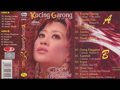 Kucing Garong / Erna Sari