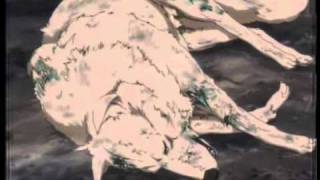 Wolfs Rain~~ Ravers Fantasy (old amv) *seizure warning*