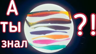 видео: Супер красители для силиконовых приманок,из аптеки,дёшево и сердито. картинка: Супер красители для силиконовых приманок,из аптеки,дёшево и сердито.