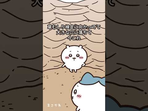 草むしり検定向かってて穴に落ちて今これ 今これ ライラック Lilac ナルト Naruto ちいかわ Chiikawa 吉伊卡哇