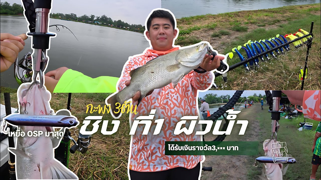 แมทกะพง 3 ตัน (ได้ที่1 งานผิวน้ำ)ฝนลงแต่เช้า🌧 น้ำเช้ามันส์ๆ งัดๆ 🔥 | K.เมือง EP:10