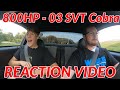 Reaction Video | 800HP Whipple SVT Terminator Cobra