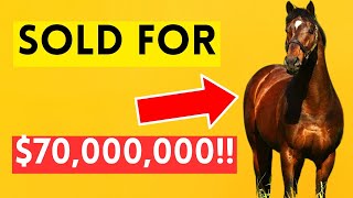 Top 5 Most EXPENSIVE Horse Breeds in the World |2024 by Top 5 Animal Wonders 460 views 3 months ago 8 minutes, 35 seconds