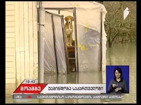 საქართველოს რეგიონებში უამინდობით გამოწვეულ პრობლემებს ებრძვიან