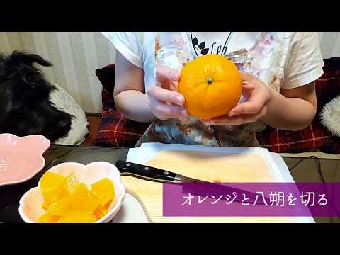 【ASMR/咀嚼音】オレンジと八朔の音【mukbang eatingsounds orange hassaku】