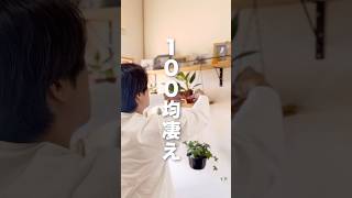100均商品で観葉植物ラックDIY