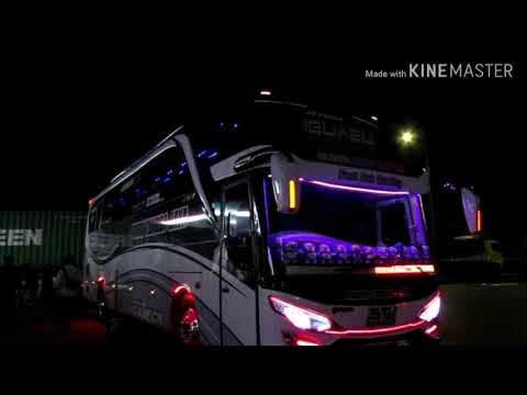 Cinematic Bus Video (artist : STJ Iguazu)