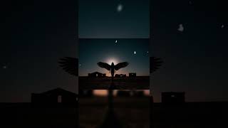 Лилит  Демоническая Легенда и Еврейская Традиция 🌙 #мистика #магия #факты