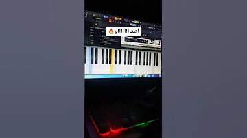 Rai Instrumental Style Turk Music 
