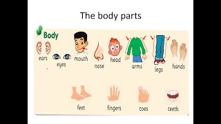 اعضاء الجسم بالانجليزي  للصف الرابع الفصل الثاني parts of the body    smart class 2