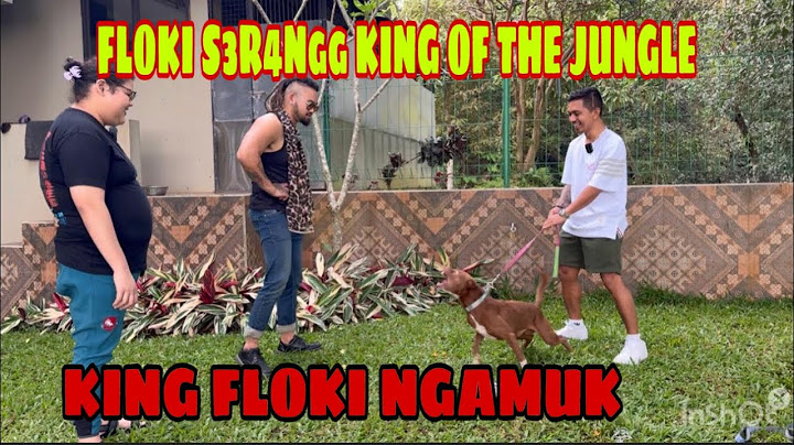 FLOKI NGAMUK SER4NGG KING OF THE JUNGLE ‼️