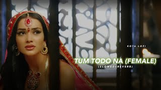 Tum Todo Na [Female] (Slowed Reverb) - Bela Shendey | Ash King