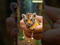 baby tiger looking so cute 🥰🤭😍#shorts#youtubeshorts#ai #animals#pets#funny #comedy #creaturesclub99