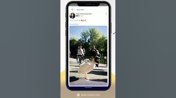 MIASIN App tutorial – How to edit or delete a post