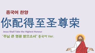 Miniatura del video "(중국어찬양): 你配得至圣尊荣 ('주님 큰 영광 받으소서' 중국어 버전) - Jesus Shall Take the Highest Honour"