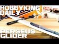 HobbyKing Daily - Perseus Glider