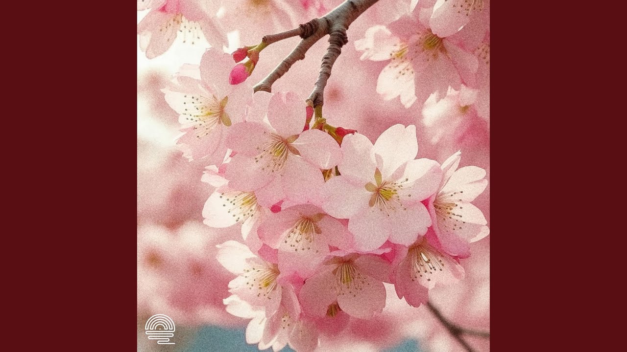 Watch Cherry Blossoms on YouTube Watch Cherry Blossoms on YouTube
