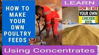 Simple Chicken Feeds mixing  at home_ Use concentrates for better eggs on the farm#poultryfeed