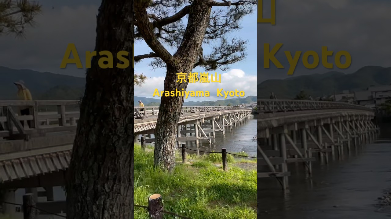 朝の京都嵐山☀️arashiyama kyoto japan #今日の嵐山 May 12、2026