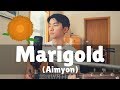 Marigold (Aimyon) Cover