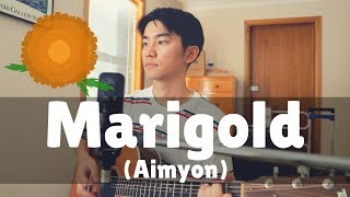 Marigold (Aimyon) Cover chords