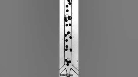 Droplet based microfluidics ESPCI LBC Fusion 1to1
